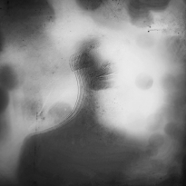 Manifestation