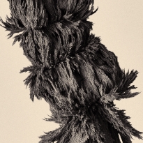 Dark Matter