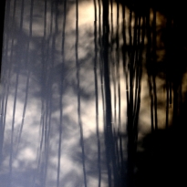 Light and shadow