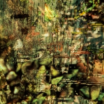 Abstract Landscapes