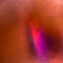 Cogito Ergo Sum #2