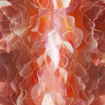ARABESQUE
