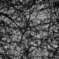 Dark Reflections