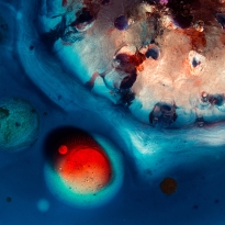Red in Blue