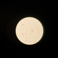INNER COSMICS
