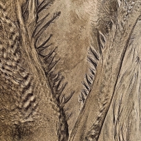 Intimate landscape 