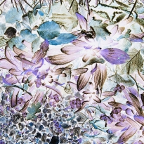 Nameless leaves