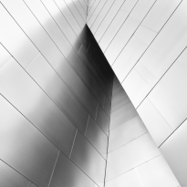 Urban Surfaces