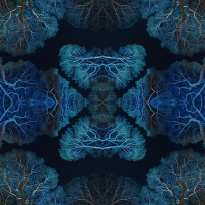 geomeTree