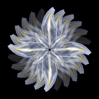 Bioemulation