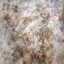 Seeking for Pollock
