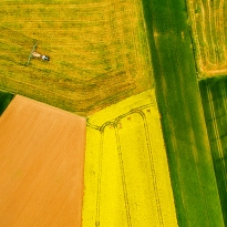 Farmer as an Artist