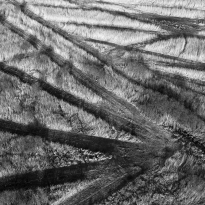 Silver lines