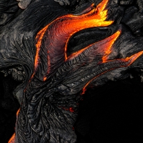 dragon's foot