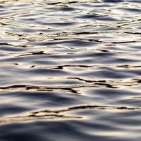 Character of Water