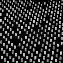 Domino