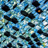 Shards of glass