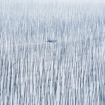 Lost in Illusion