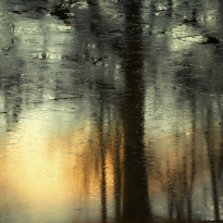 Iced Sunset