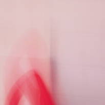 Metamorphosis 1