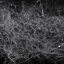 Action Painting I