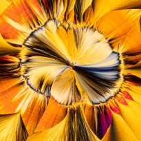 Flowering Crystals