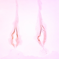 Torn
