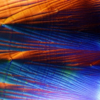 Vitamin Landscape