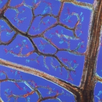 Fractals