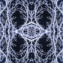 Skeletal