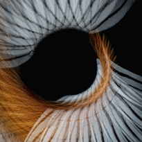 Turmoil