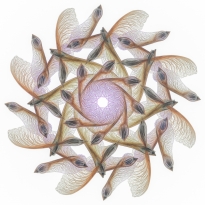 Botanical Mandalas