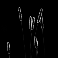 Glow Sticks