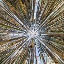 Bambu explosion