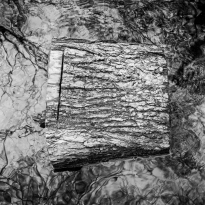Black Square