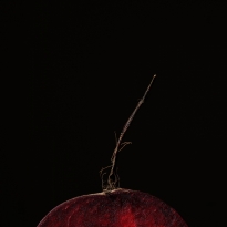 Beetroot 2