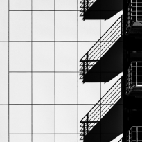 Shadow Lines