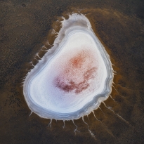 songline 1