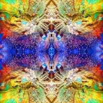 Reflect your inside