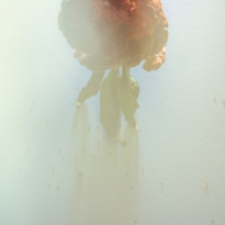 Last phase of life 