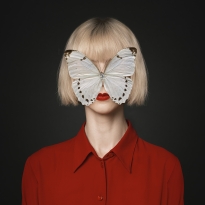 Morpho Luna