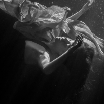 Untitled #2
