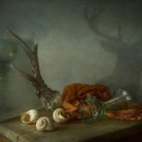 Ghost deer