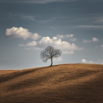 Better Alone