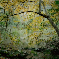 Photo Synthesis