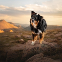 On Top of the World