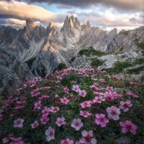 Furious beauty
