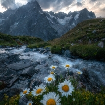 Painting of nature