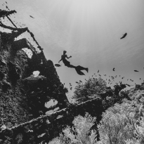 Oceanain