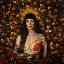 Venus Verticordia
